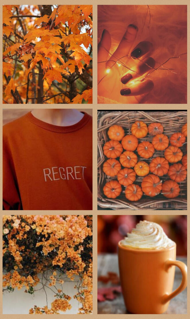Orange Aesthetic