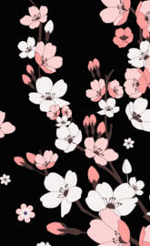 Black cherry blossom