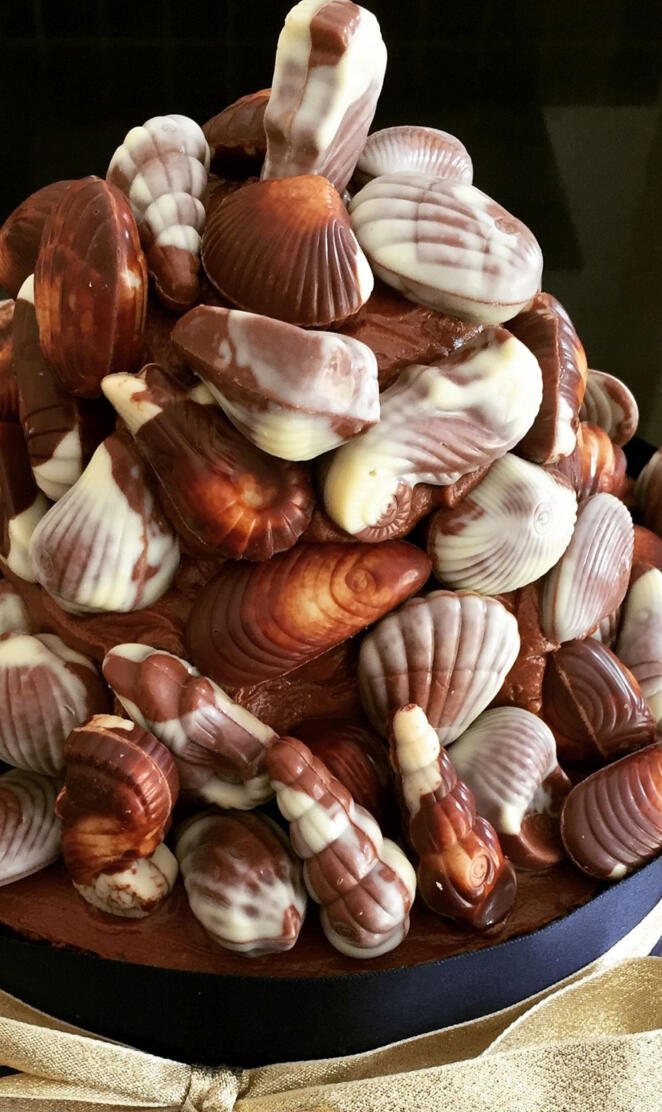 Praline Sea Shells