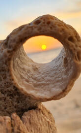 Sunset thru Coral