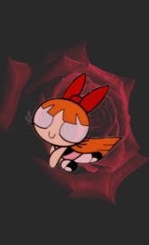 Ppg blossom rose