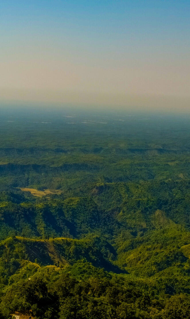 Bandarban Nilgiri