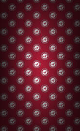 Alabama Crimson Tide