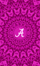 Alabama Football 16