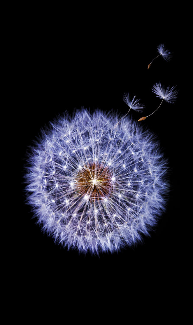 Samsung S9 Wallpaper