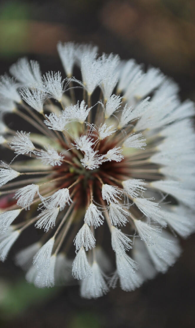 Spiked
