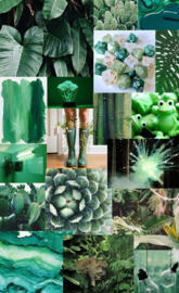 Green asthenic