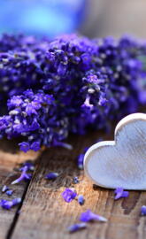 Lavender Love