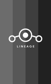 LINEAGEOS GREY