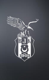 BJK - BESIKTAS JK