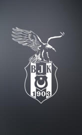 BJK - BESIKTAS JK