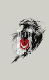 BJK - BESiKTAS JK