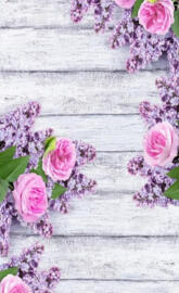 Pink Rose Lilac 1