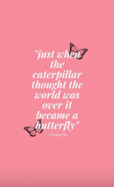 Screen saver butterfly