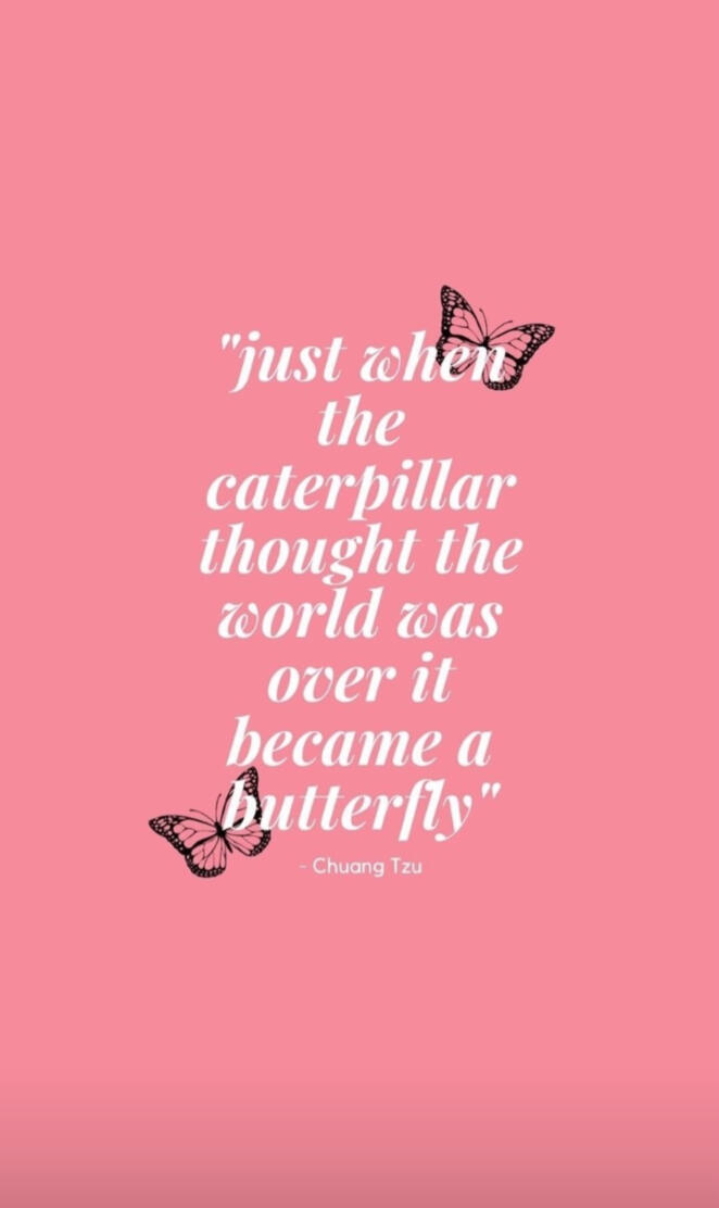 Screen saver butterfly