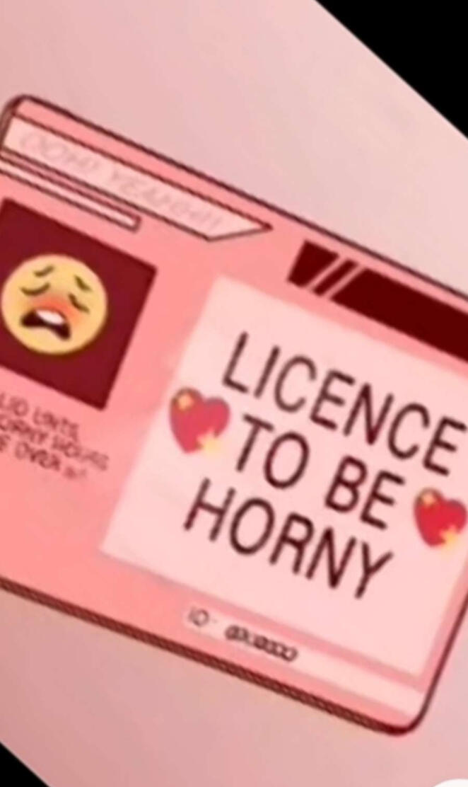 License to be h***y 