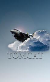 F-14 Tomcat