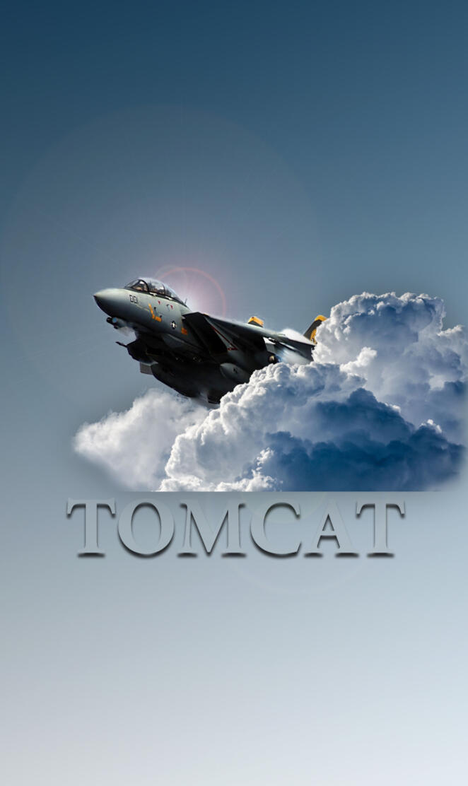 F-14 Tomcat