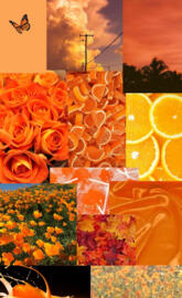 Orange aesthetic 