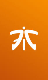Fnatic orange