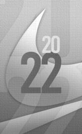 2022 NIKE GREY LIGHT