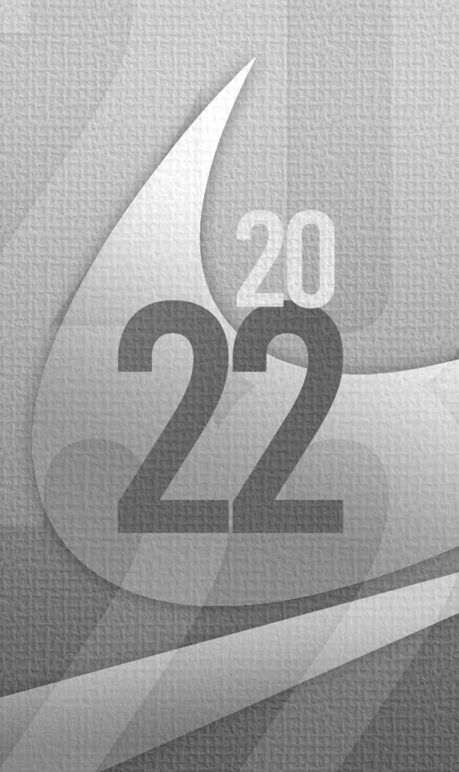 2022 NIKE GREY LIGHT