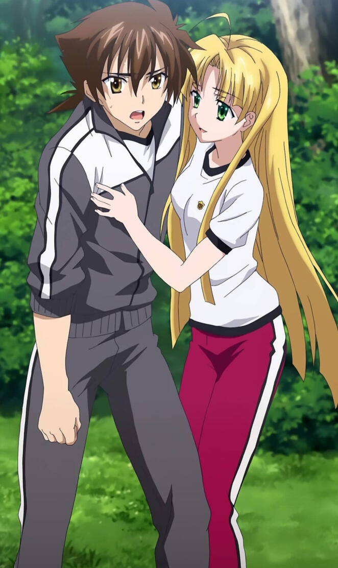 High school dxd