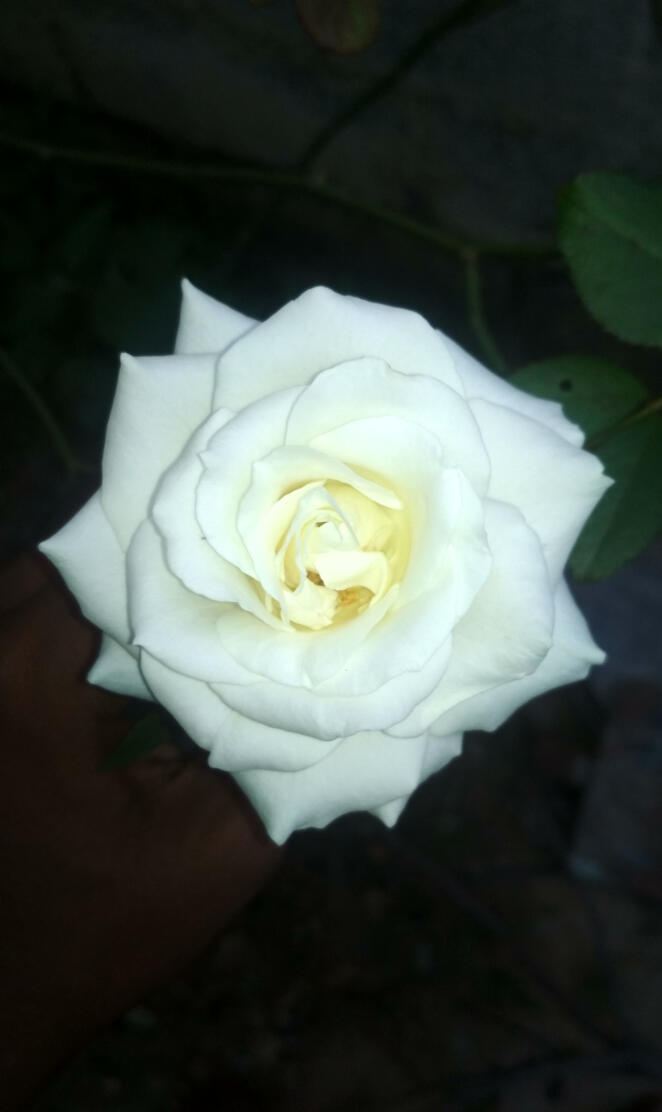 Doddabanahalli
