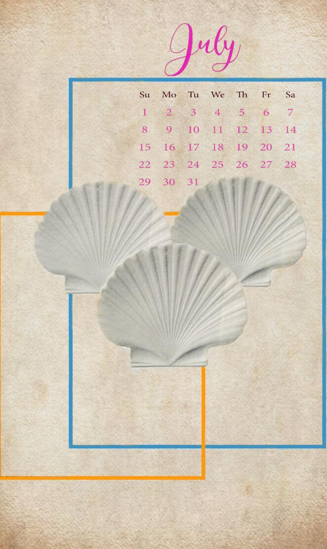 July Seashells