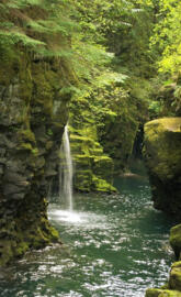 Toke tee falls Oregon