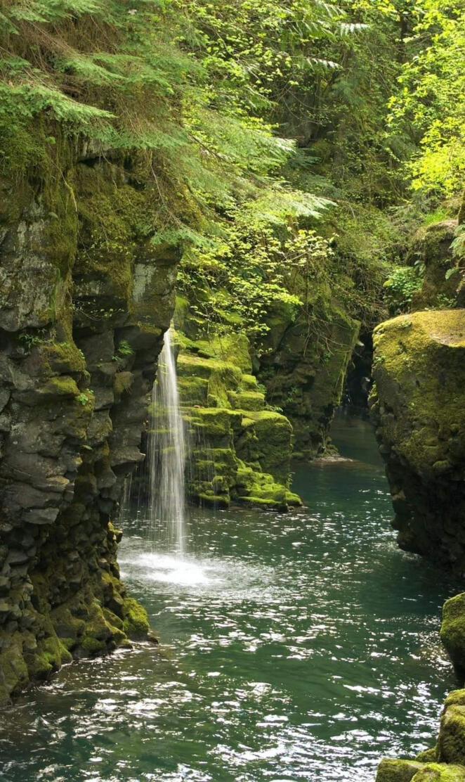 Toke tee falls Oregon