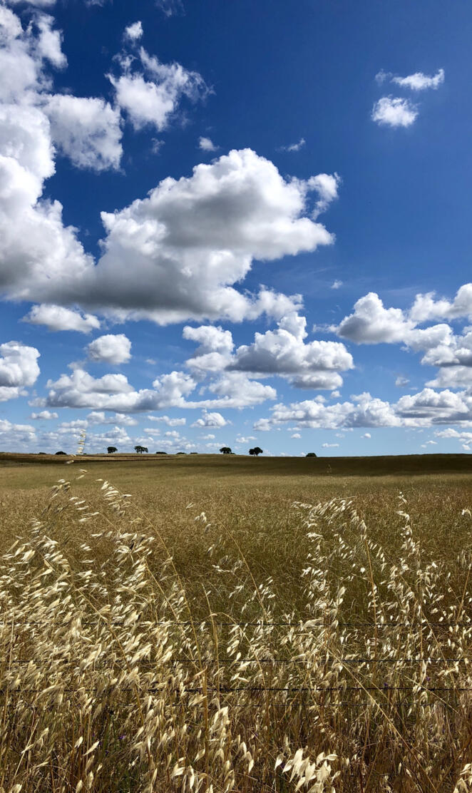 Alentejo spring