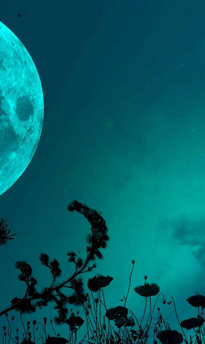 Teal moon