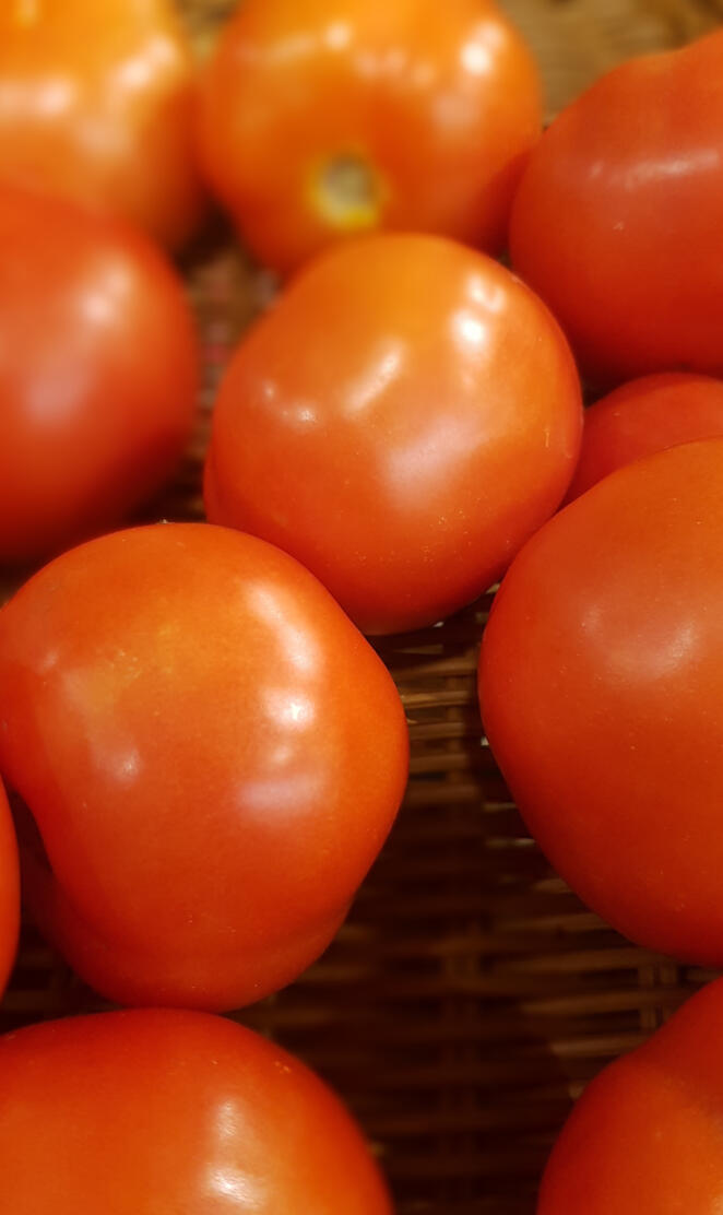 Tomatos