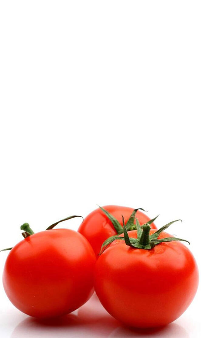 TOMATO