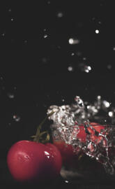 tomato1