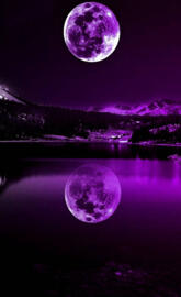 Purple moon