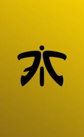 Fnatic yellow