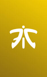 Fnatic yellow