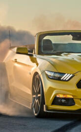 yellow Mustang