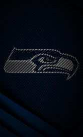 Seattle seahawks