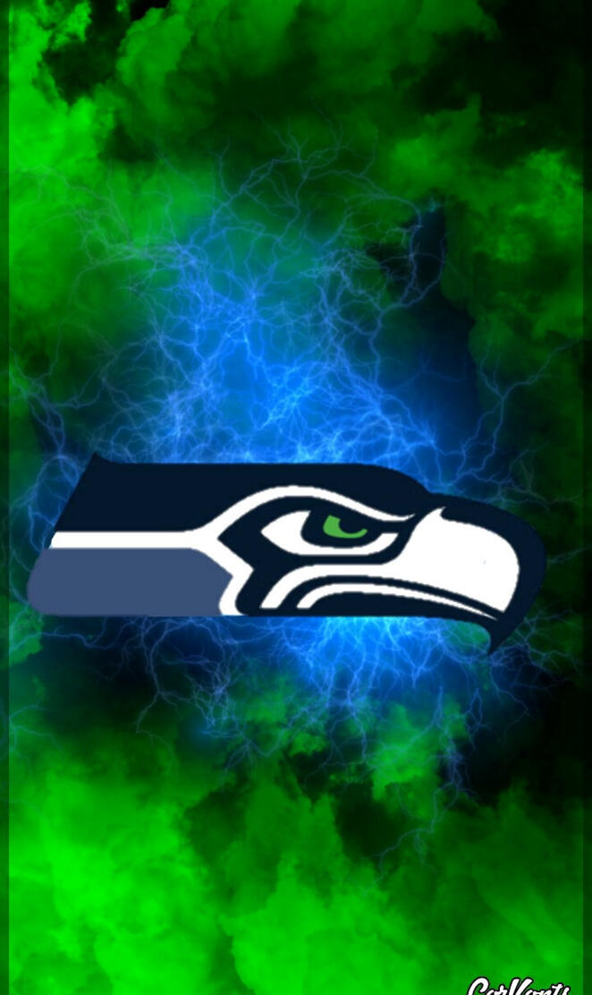 Seattle seahawks