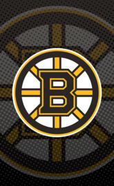 Boston Bruins
