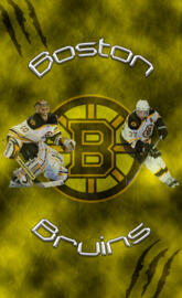 Boston Bruins