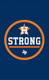 Houston Astros WS