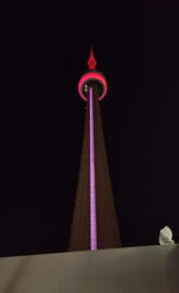 Cn tower