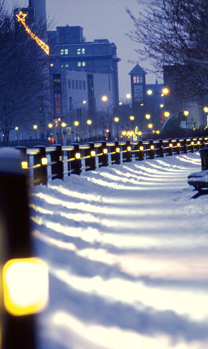 Montreal in Winter