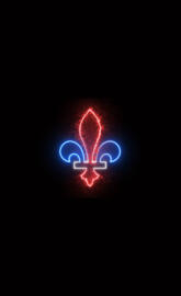 Fleur De Lis 