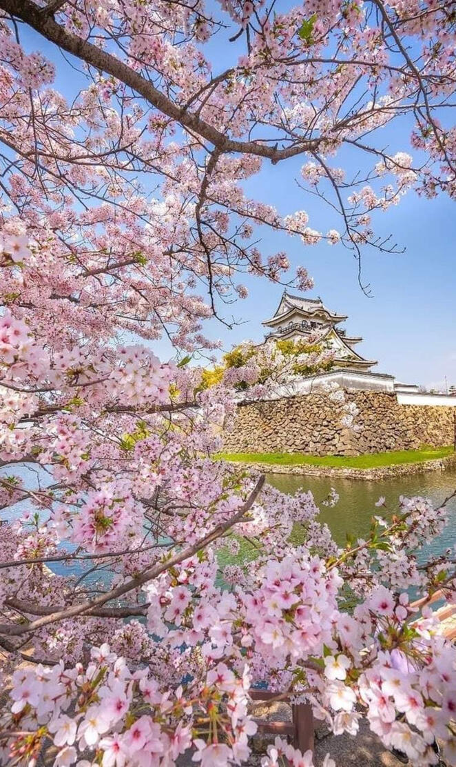 Kishiwada castle Osaka