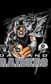 Raiders wallpaper